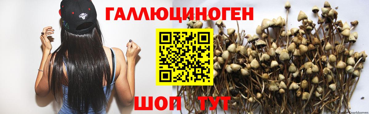 Галлюциногенные грибы ЛСД  Вход с VPN  продажа наркотиков  Еманжелинск  Псилоцибиновые грибы Magic Shrooms 